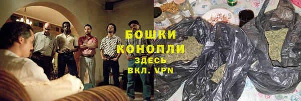 ПСИЛОЦИБИНОВЫЕ ГРИБЫ Заводоуковск