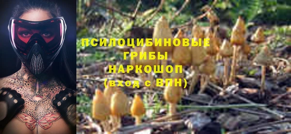 герыч Алзамай